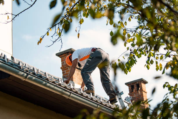 Best Roof Gutter Cleaning  in Richlands, NC