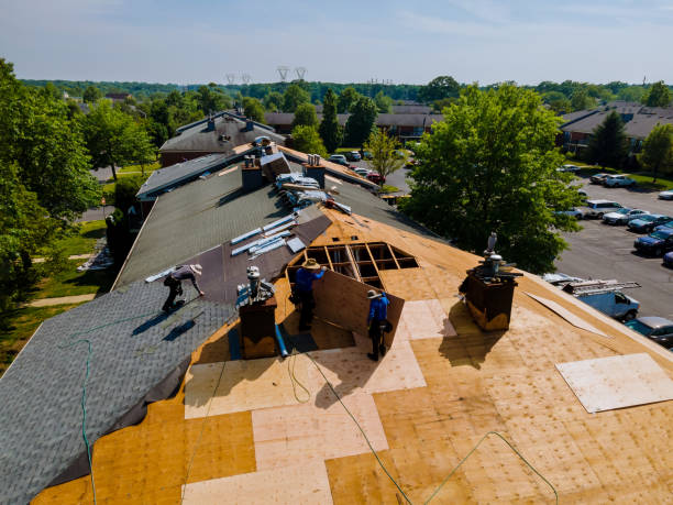 Best Storm Damage Roof Repair  in Richlands, NC